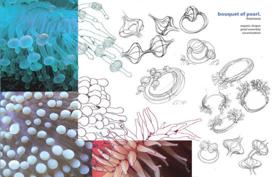 水生物-珊瑚